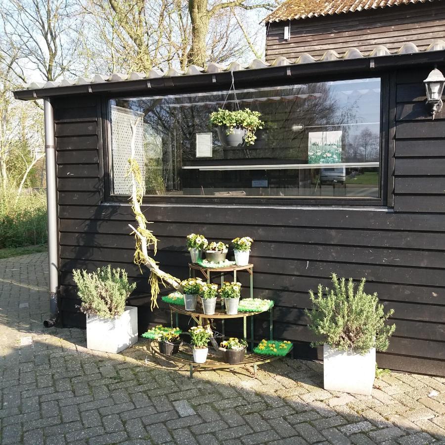Safaritent De Berghoeve Ruinen Exterior photo